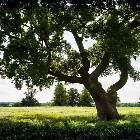 Ξενοδοχείο Country 3*